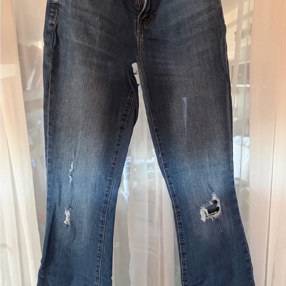 Arizona Jean Company Dark Blue Flare Jeans